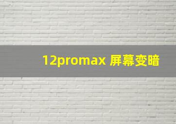 12promax 屏幕变暗